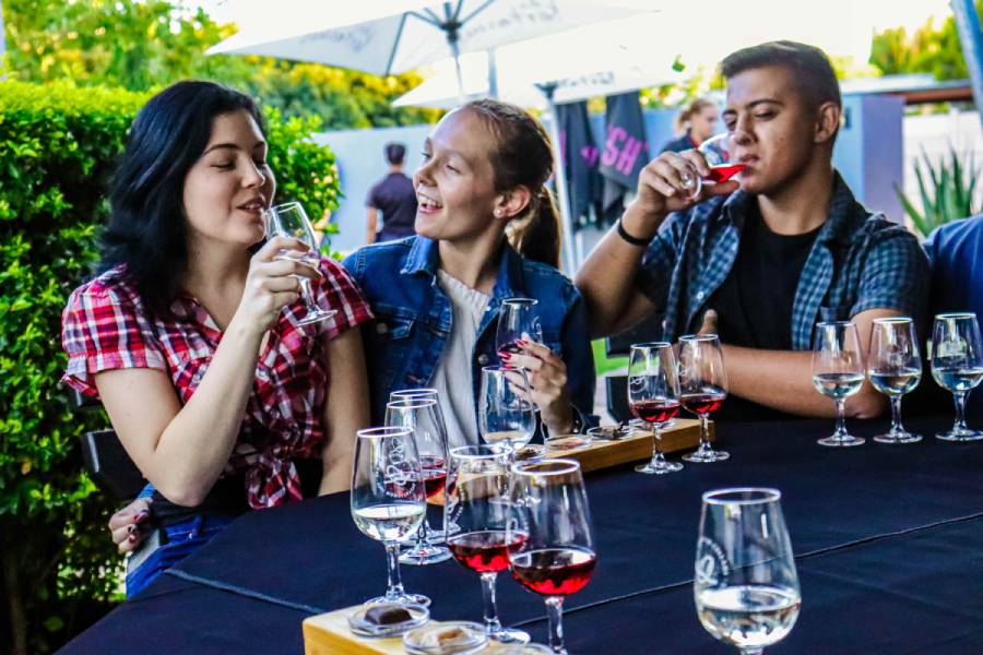 Wine tasting experience